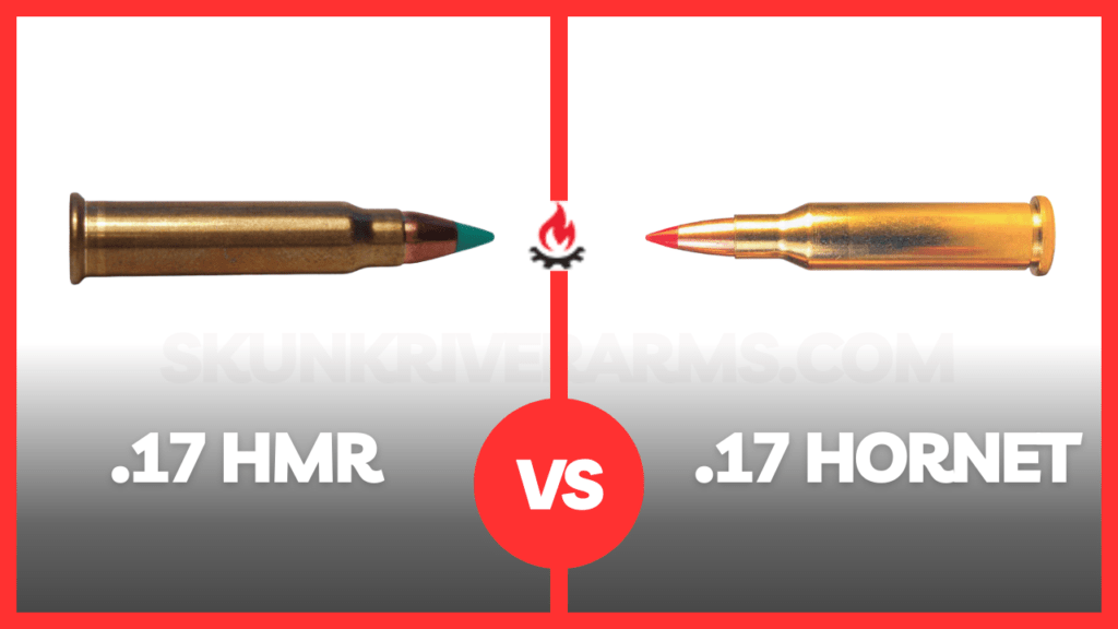 17 hornet vs .17 hmr