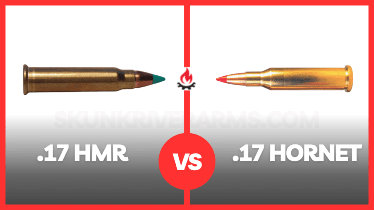 .17 Hornet Vs .17 HMR [Which Ammo Is Better?]