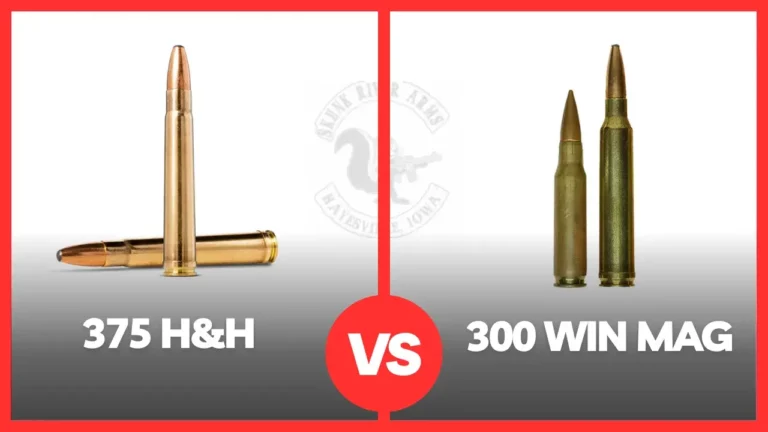 375 H&H Vs 300 Win Mag [Which Ammo Is Better?]