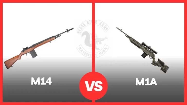 Springfield M14 Vs M1A [Which One Is Better?]