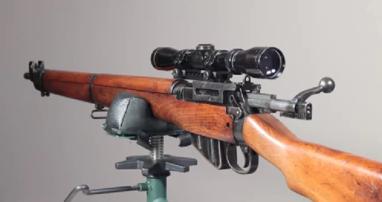 Best Scope For 303 British