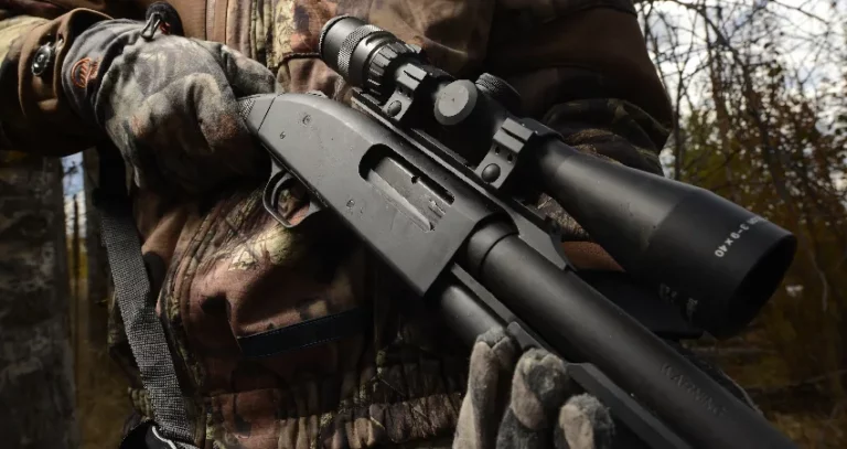 Best Sights For Mossberg 500
