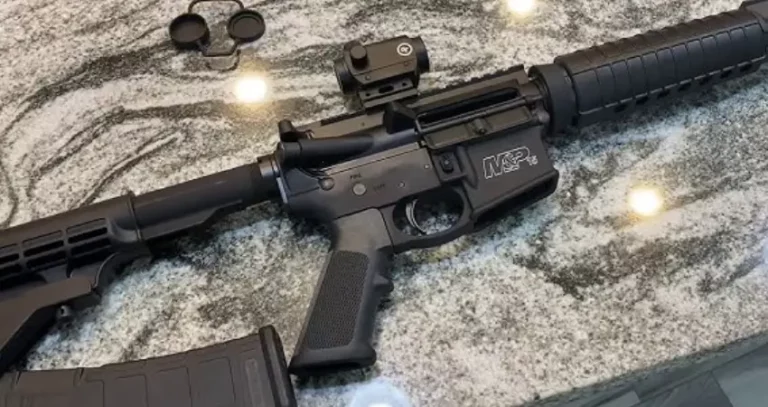 Best Optics For M&P 15 Sport 2