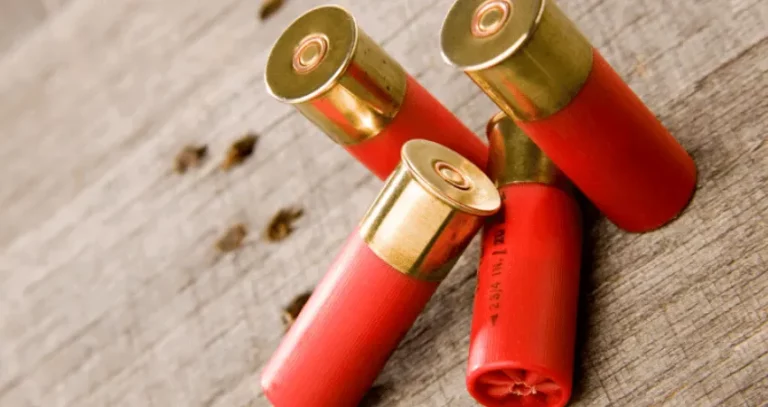 How To Dispose of Shotgun Shells?